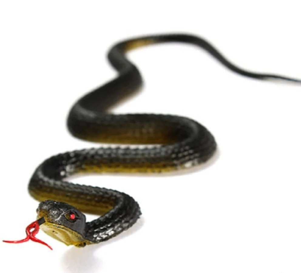 Serpente giocattolo realistico - Prank Toys recensione e prezzo
